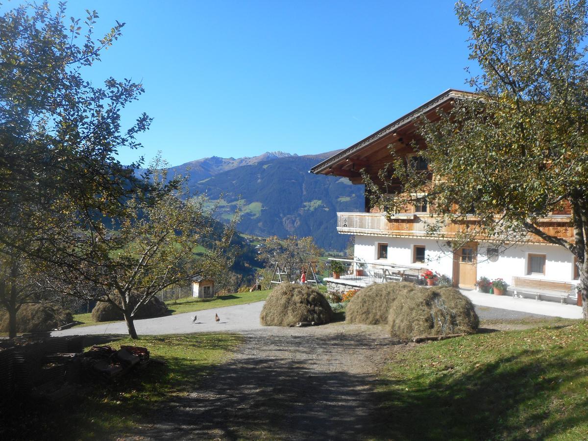 Stockhof Daire Zell am Ziller Dış mekan fotoğraf
