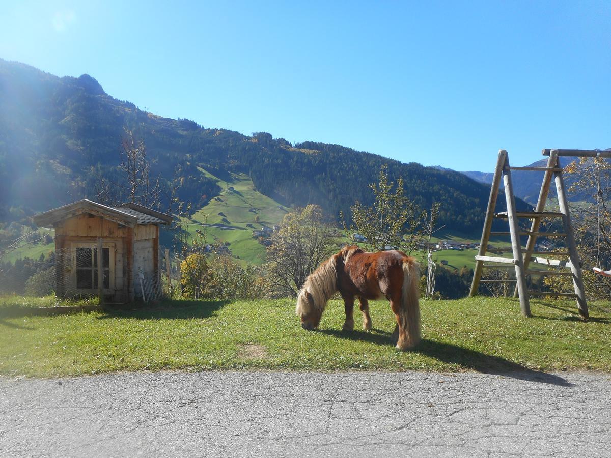Stockhof Daire Zell am Ziller Dış mekan fotoğraf