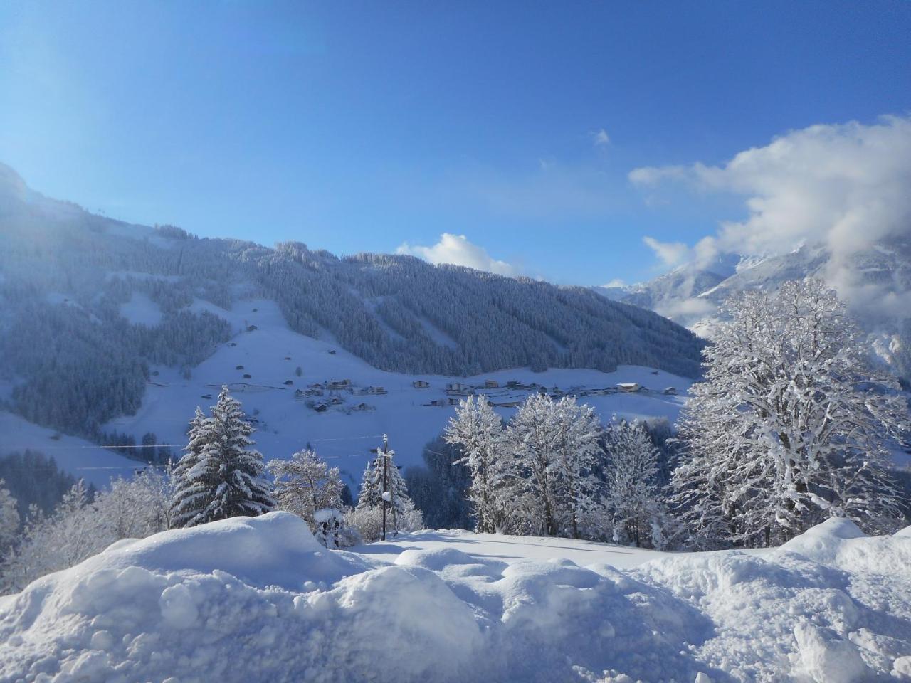 Stockhof Daire Zell am Ziller Dış mekan fotoğraf